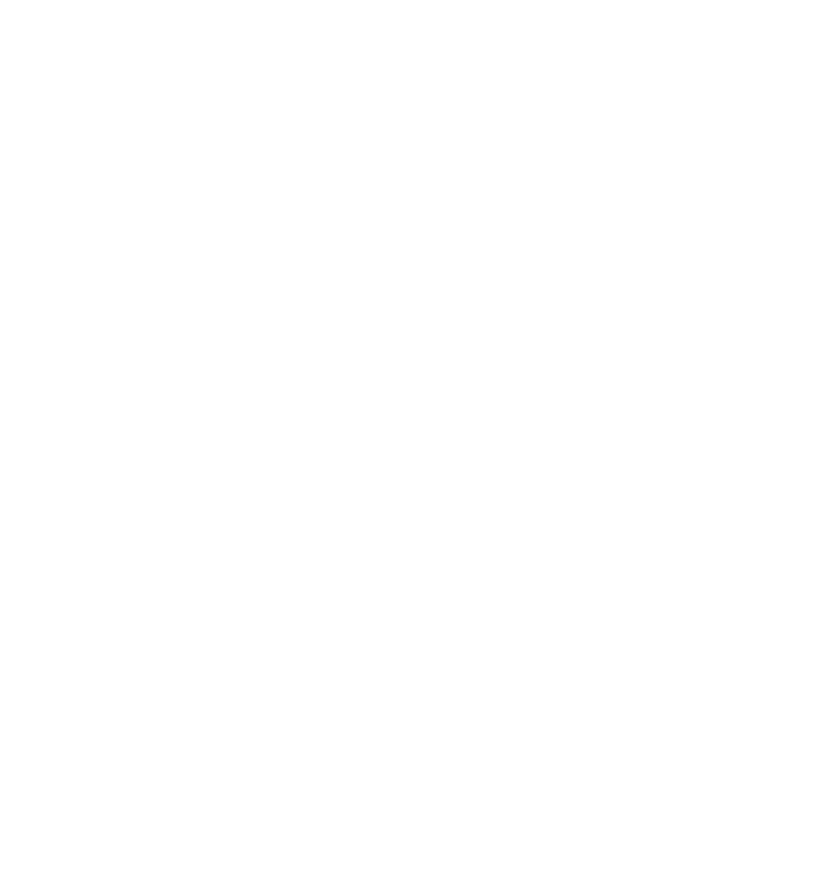 logo weiss